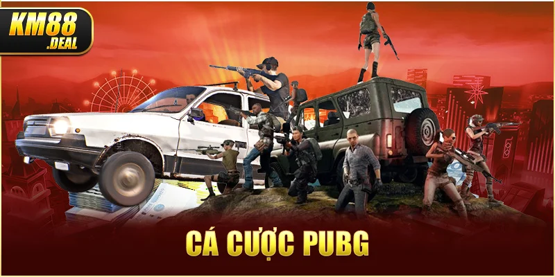 4 ca cuoc pubg anh dai dien