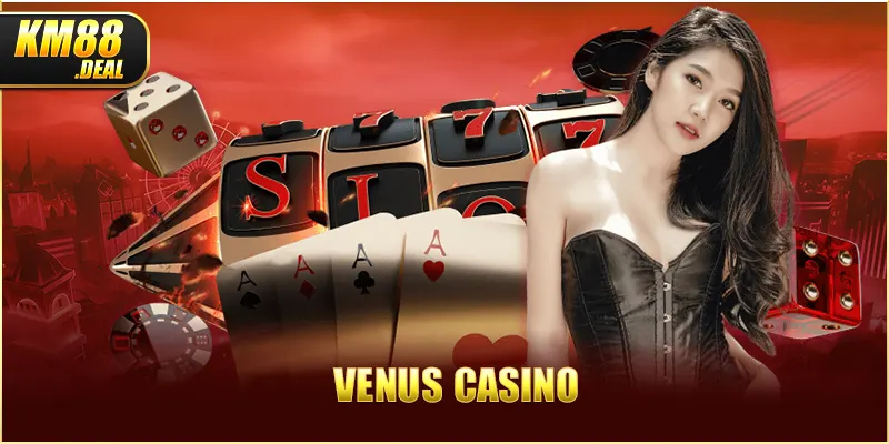 4 venus casino anh dai dien