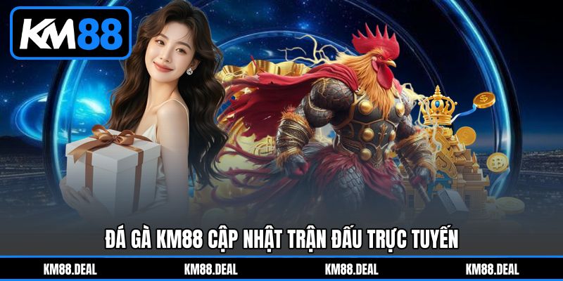 Đá gà KM88 cập nhật trận đấu trực tuyến Đá gà KM88 cập nhật trận đấu trực tuyến