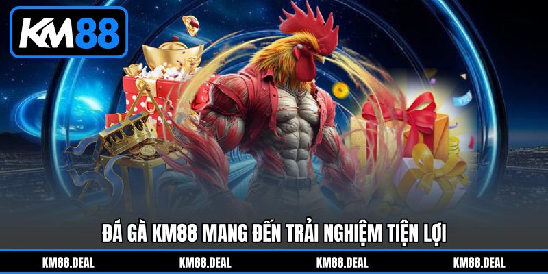 Đá gà KM88 mang đến trải nghiệm tiện lợi Đá gà KM88 mang đến trải nghiệm tiện lợi