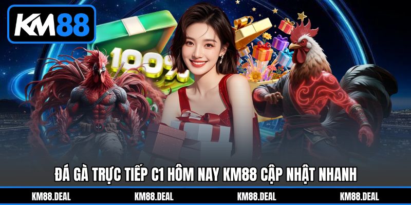 Đá gà trực tiếp C1 hôm nay KM88 cập nhật nhanh