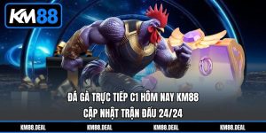 Đá Gà Trực Tiếp C1 Hôm Nay KM88 - Cập Nhật Trận Đấu 24/24
